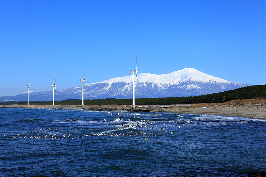③：穏やかな冬の日　鳥海山とウミネコと共に　石崎　幸宏　撮影場所：山形県酒田市